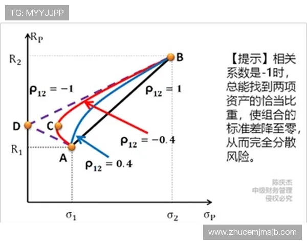 专业分析师解读网上买球的风险与收益，提升你的投注成功率