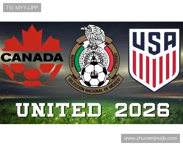 2026年世界杯举办国的安全保障措施与应急管理体系详解